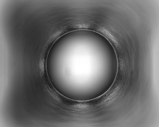 X0000096640537200802051130