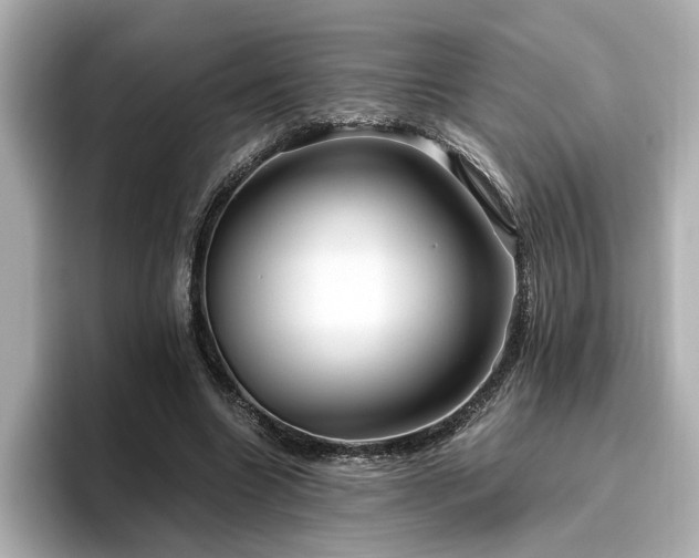 X0000096640538200802051130