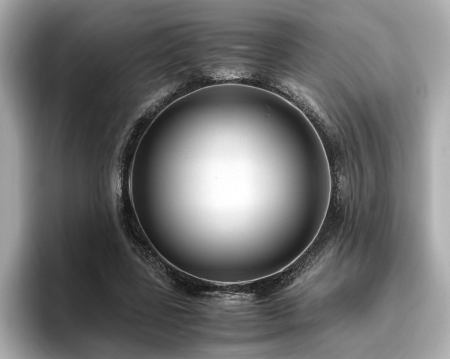 X0000096640539200802051130