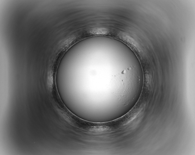 X0000096640541200802051130