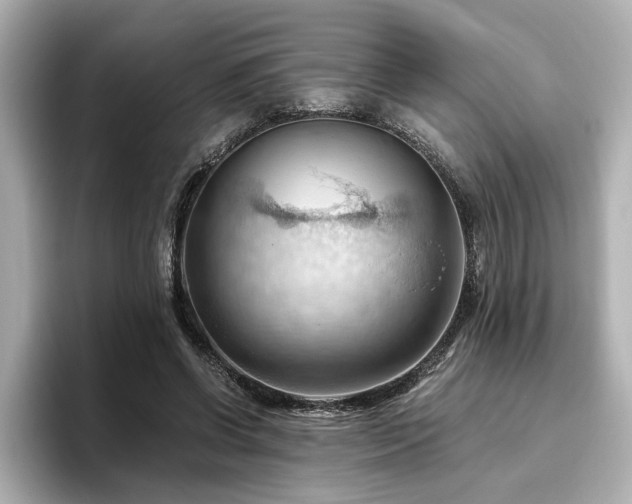 X0000096640542200802051130