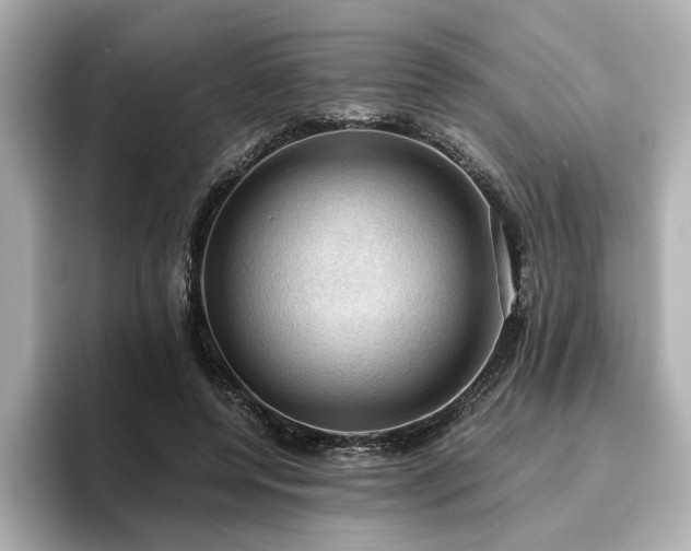 X0000096640544200802051130