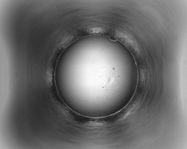 X0000096640545200802051130