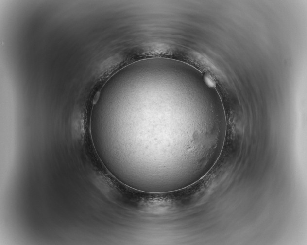 X0000096640546200802051130