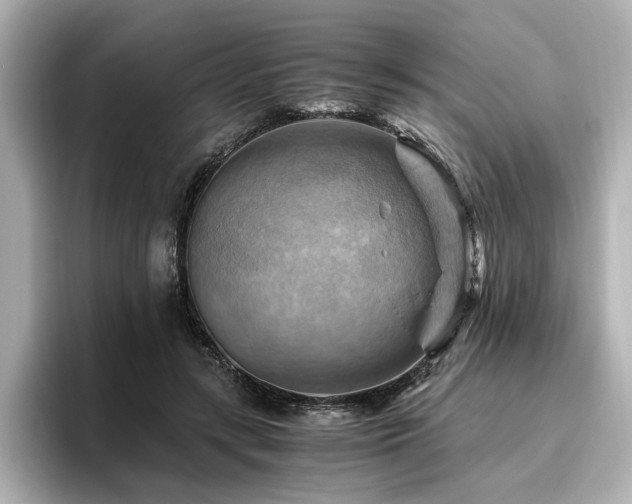 X0000096640547200802051130