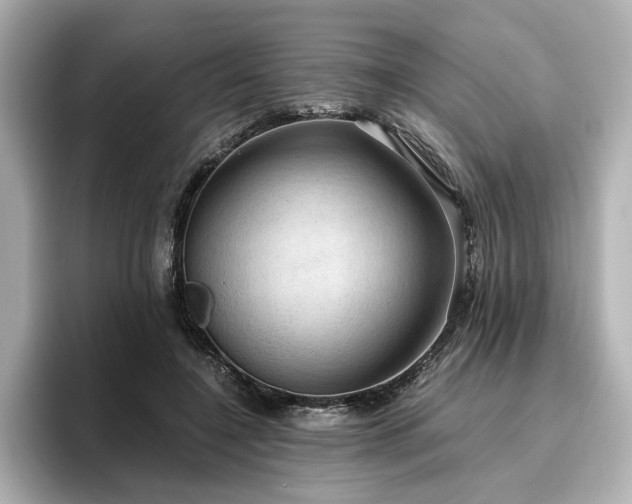 X0000096640548200802051130