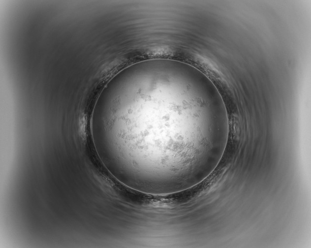 X0000096640550200802051130
