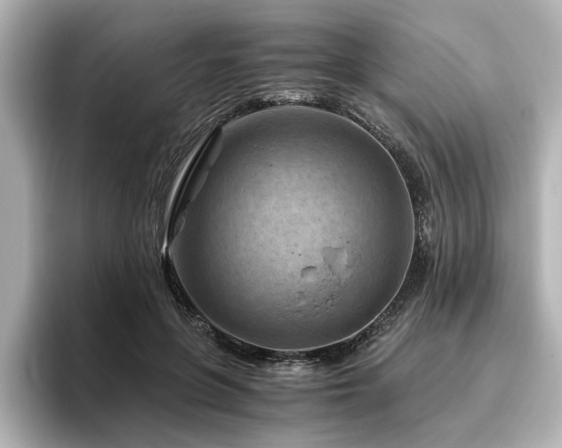 X0000096640551200802051130
