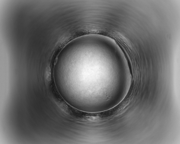 X0000096640552200802051130