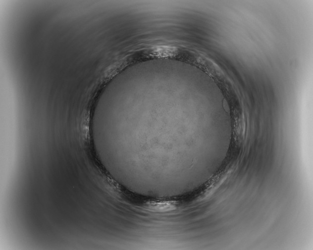 X0000096640553200802051130