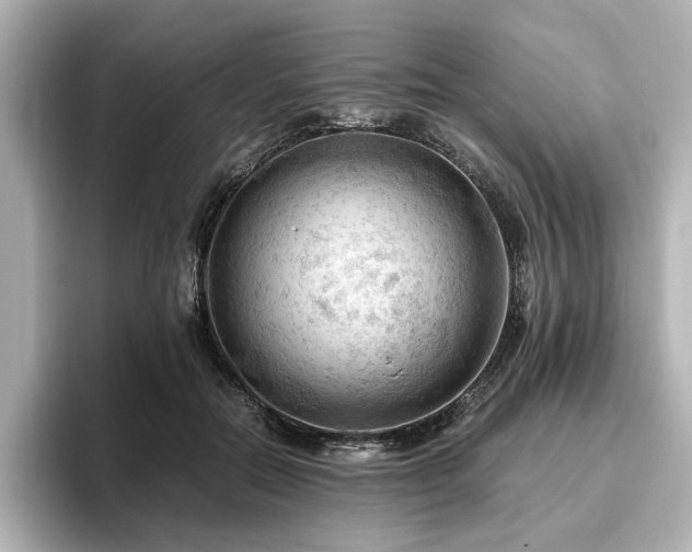 X0000096640554200802051130