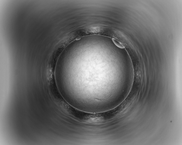 X0000096640555200802051130
