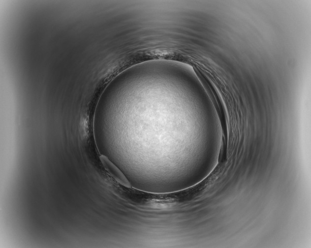 X0000096640556200802051130