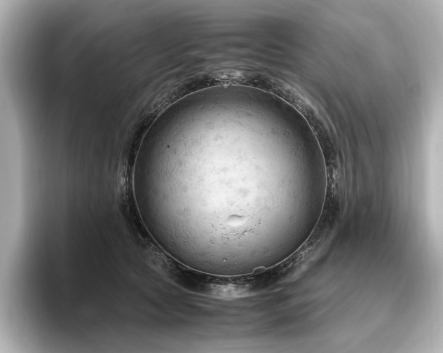 X0000096640561200802051130