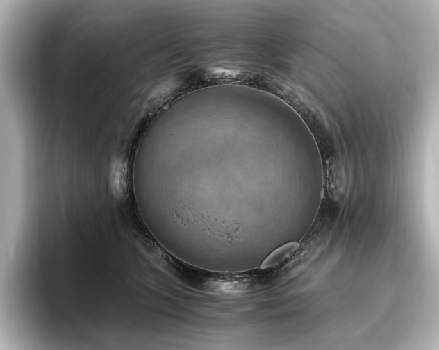X0000096640563200802051130