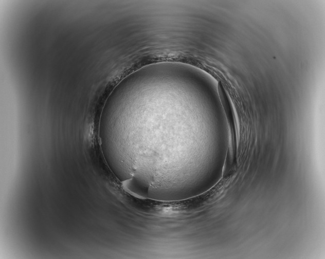 X0000096640564200802051130