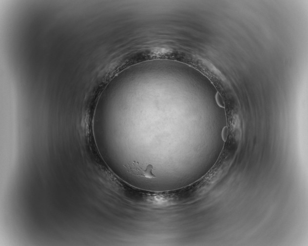 X0000096640565200802051130