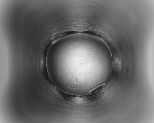 X0000096640566200802051130