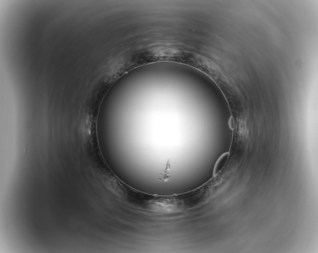X0000096640567200802051130