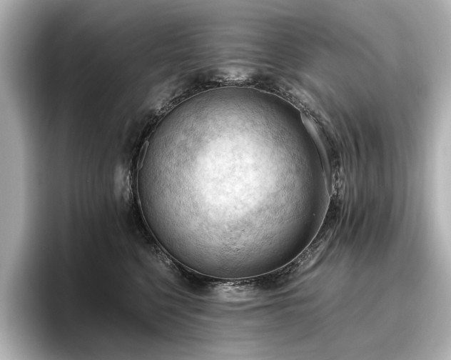 X0000096640568200802051130