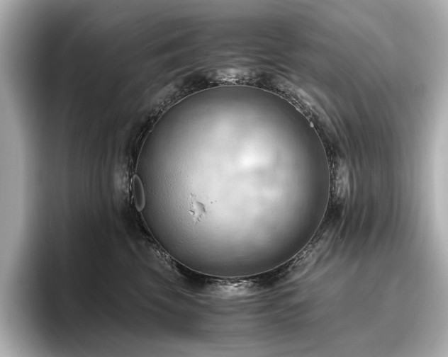 X0000096640569200802051130