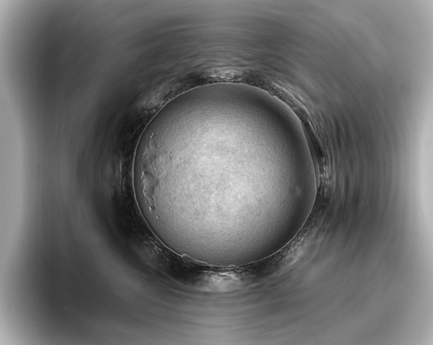 X0000096640572200802051130