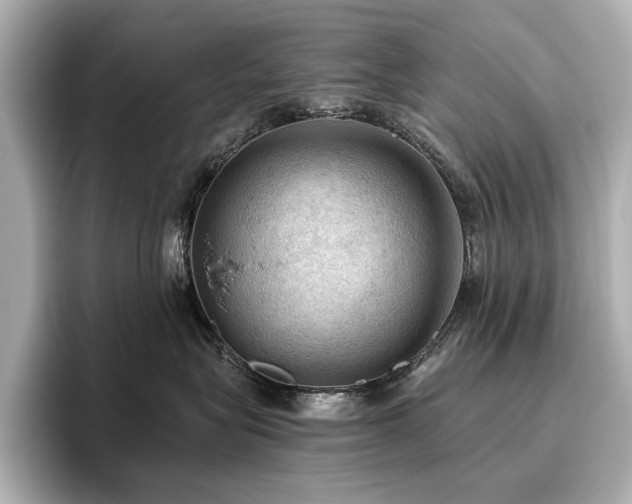 X0000096640575200802051131