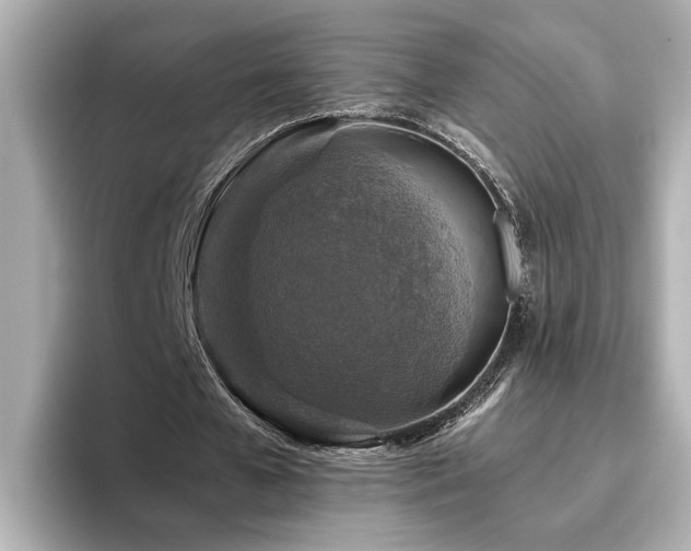 X0000096640577200802051130