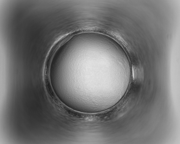 X0000096640579200802051130