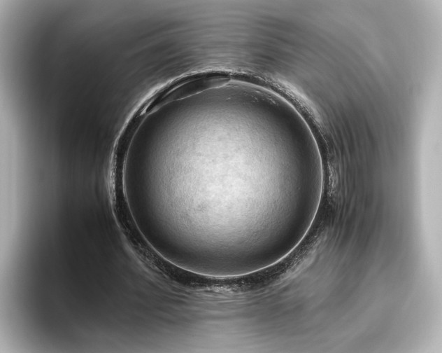 X0000096640580200802051130