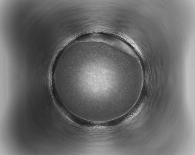 X0000096640581200802051130