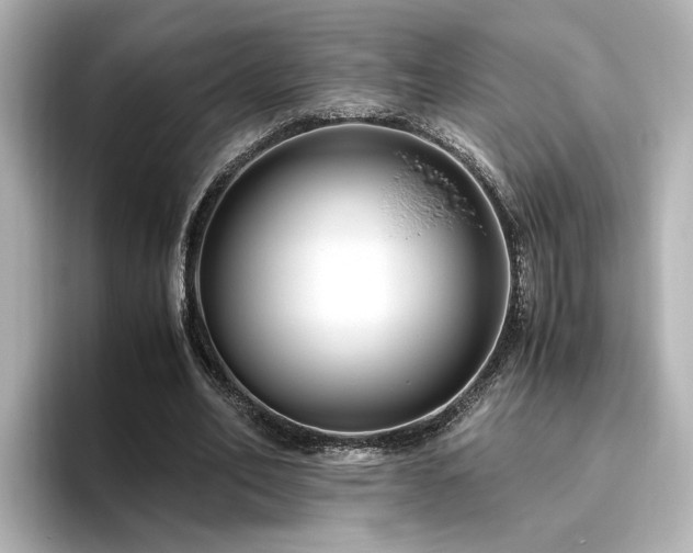 X0000096640582200802051130