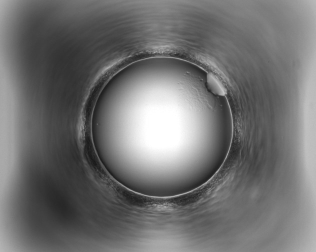 X0000096640583200802051130