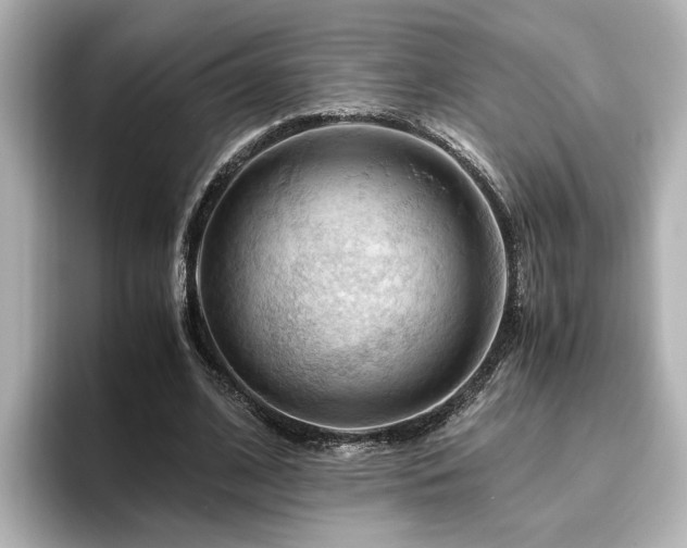 X0000096640584200802051130