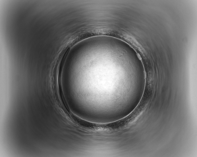 X0000096640585200802051130