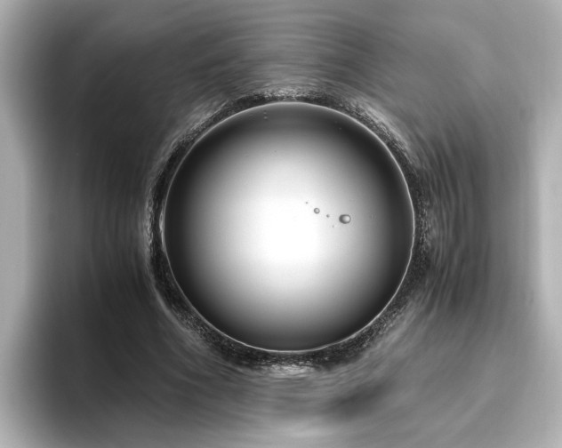 X0000096640586200802051130