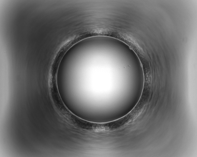 X0000096640587200802051130