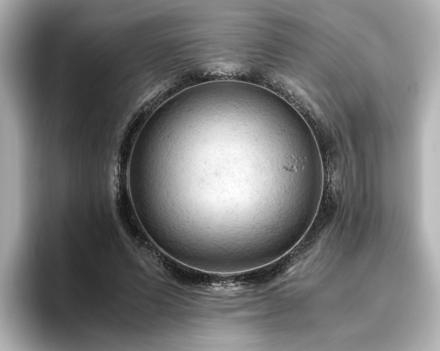 X0000096640591200802051130