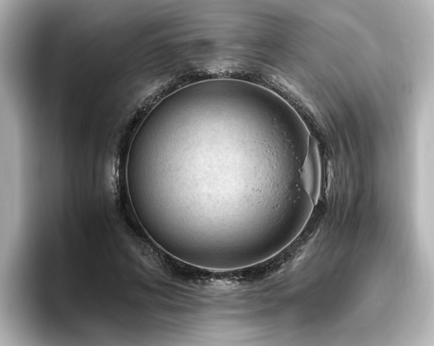 X0000096640592200802051130