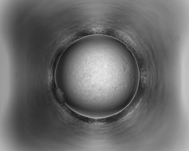 X0000096640593200802051130