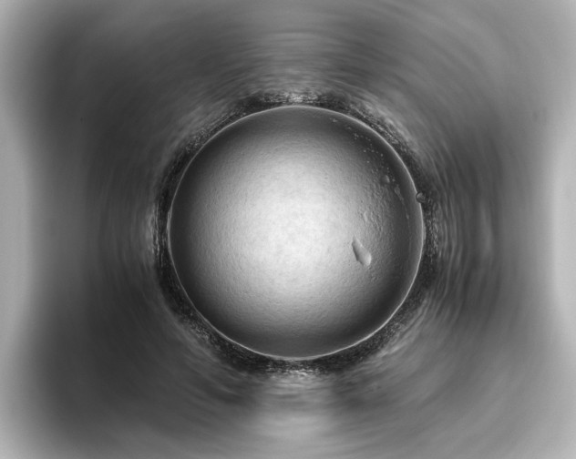 X0000096640594200802051130