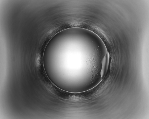 X0000096640596200802051129