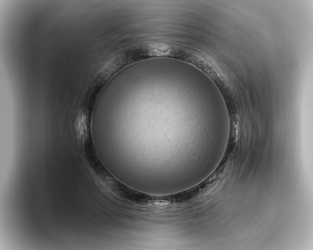 X0000096640598200802051129