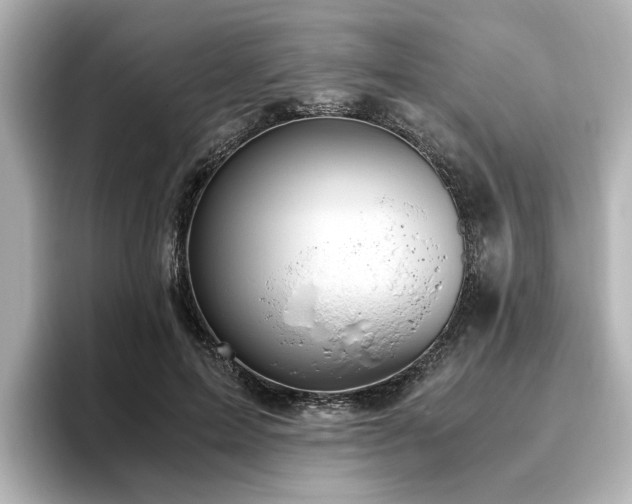 X0000096640599200802051129