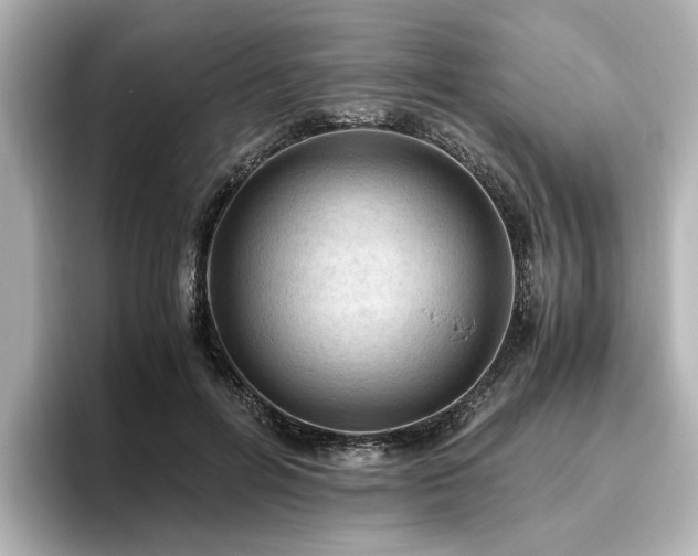 X0000096640600200802051129