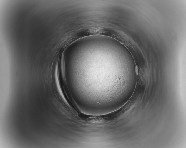 X0000096640601200802051129