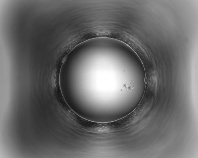 X0000096640604200802051129