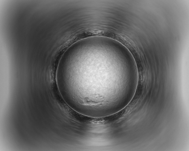 X0000096640606200802051129