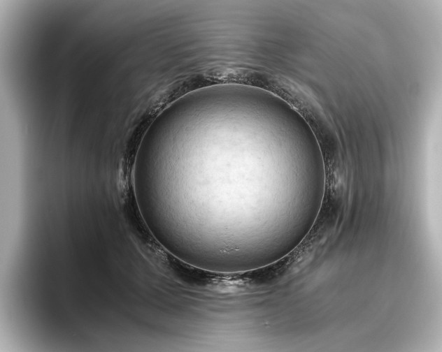 X0000096640607200802051129