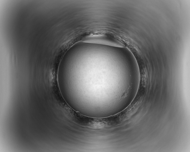 X0000096640608200802051129